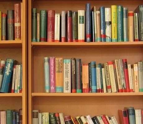 Best Illustrated Fiction Series for 9 and 10 year olds